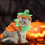 Halloween Pet Cats Costume Props Creative Pumpkin – Bild 7