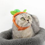 Halloween Pet Cats Costume Props Creative Pumpkin – Bild 3