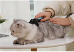 Cats Wool Pet Hair Deshedding Brush Set Comb – Bild 9