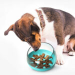 Space Capsule Dog Bowl Slow Food Bowl Tumbler Cat Bowl – Bild 2