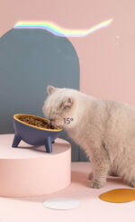 Cat Dog Bowl With Stand Pet Feeding Food Bowls – Bild 3