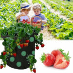 Strawberry Grow Bag Nonwoven Fabric Vertical Jardin Garden – Bild 4