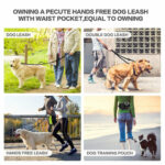 Dog Training Leash Waist Bag Hands-Free Outdoor Pet Running – Bild 2