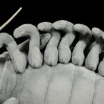 Sea Creature Giant Isopod Realistic Stuffed Animal Toy – Bild 5