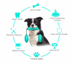 Dog Chew Toys Pet Toothbrush Rubber Bones Teeth Cleaning – Bild 2