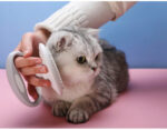 Cats Wool Pet Hair Deshedding Brush Set Comb – Bild 8