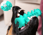 Dog Chew Toys Pet Toothbrush Rubber Bones Teeth Cleaning – Bild 6