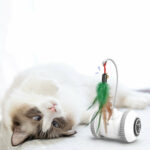 Interactive Cat Toy With Interchangeable Pet Feather Toys – Bild 4