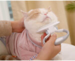 Cats Wool Pet Hair Deshedding Brush Set Comb – Bild 6