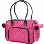 Portable Compact Pet Bag For Going Out