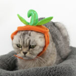 Halloween Pet Cats Costume Props Creative Pumpkin – Bild 2