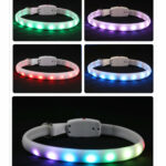 USB Rechargeable Pet Dog LED Glowing Collar – Bild 3