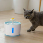 Water Fountain Replaceable Pet Water Dispenser – Bild 5