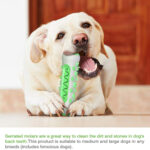 Pet Dog Bone Shape Molar Teeth Cleaner Brushing Stick Interactive Chew – Bild 10