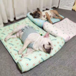 Cool Dog Mat Summer Pet Blanket Cooling Breathable Cat Bed – Bild 2
