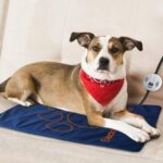 45×60cm Pet Electric Heating Pad Blanket Pet Dog Cat Winter Warmer Pad – Bild 4