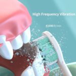 Ultrasonic Sonic Electric Toothbrush for Adults USB Rechargeable – Bild 3