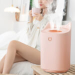 Humidifier Home 3L Air Ultrasonic Essential Oil Aroma Diffuser Double