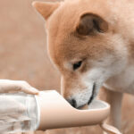 Pet Cats And Dogs Portable Outdoor Drinking Cups – Bild 4