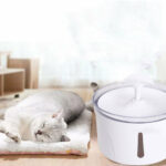 Pet Dog Cat Water Fountain Electric Automatic Water Feeder – Bild 3