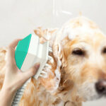 Handheld Splash Shower Pet Dog Cat Shower Spray Hose – Bild 2