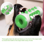 Pet Dog Bone Shape Molar Teeth Cleaner Brushing Stick Interactive Chew – Bild 7