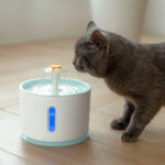 Water Fountain Replaceable Pet Water Dispenser – Bild 3