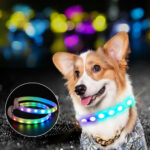 USB Rechargeable Pet Dog LED Glowing Collar