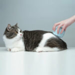 Floating Massage Pet Needle Comb Cat Hair Cleaner – Bild 5