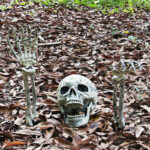 Halloween Party Decoration Lifelike Skull And Hand – Bild 3