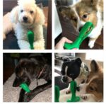 Natural Rubber Bite Resistant Dog Toothbrush Toy – Bild 6