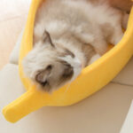 Funny Banana Cat Bed House Cute Cozy Cat Mat Beds – Bild 2