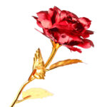 24K Foil Plated Red Rose Valentine's Day Gift – Bild 6