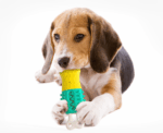 Summer Cooling Cleaning Care Teeth Pet Chewing Supplies – Bild 2