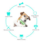 Pet Dog Bone Shape Molar Teeth Cleaner Brushing Stick Interactive Chew – Bild 9