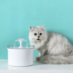 Pet Dog Cat Water Fountain Electric Automatic Water Feeder – Bild 2