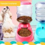 Automatischer Futternapf & Trinkbrunnen – Für Hunde und Katzen